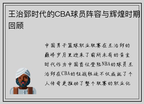 王治郅时代的CBA球员阵容与辉煌时期回顾